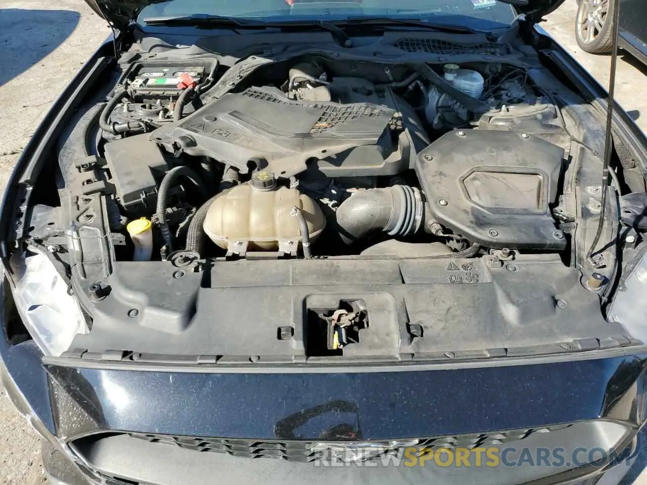 11 Photograph of a damaged car 1FATP8UHXK5149549 FORD ALL Models 2019