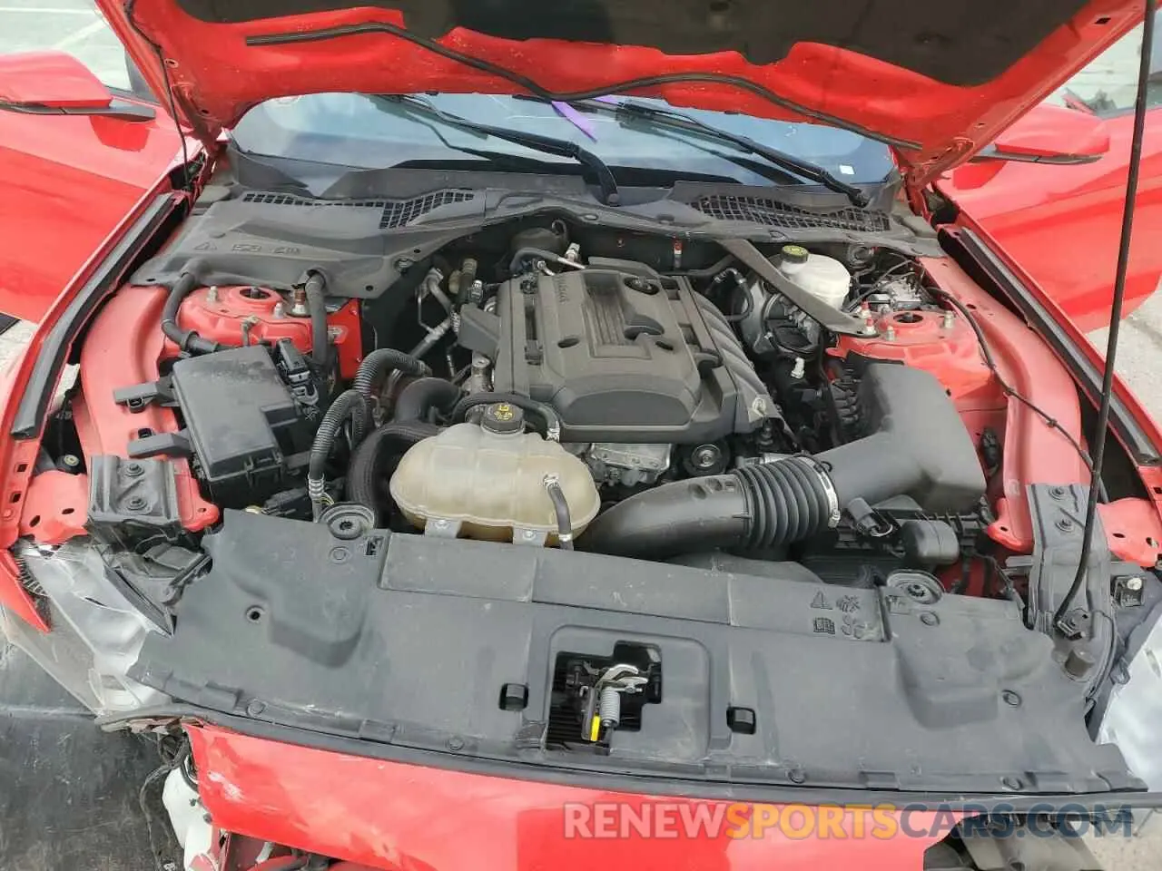 12 Photograph of a damaged car 1FATP8UHXK5171101 FORD ALL Models 2019