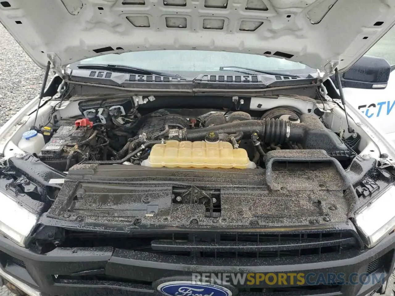 11 Photograph of a damaged car 1FTMF1CB4KKD65534 FORD All Models 2019