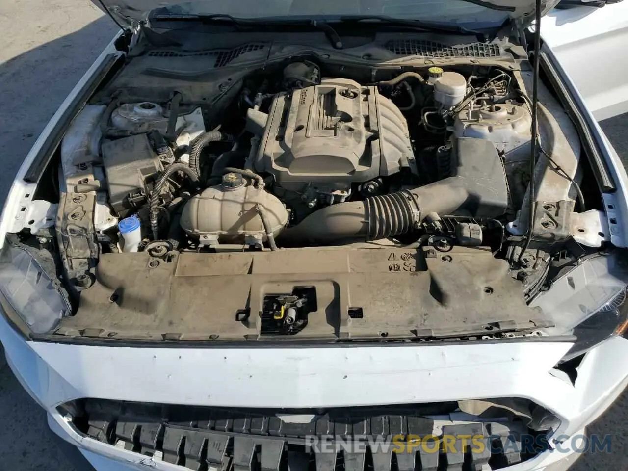 11 Photograph of a damaged car 1FA6P8TH2L5154986 FORD ALL Models 2020