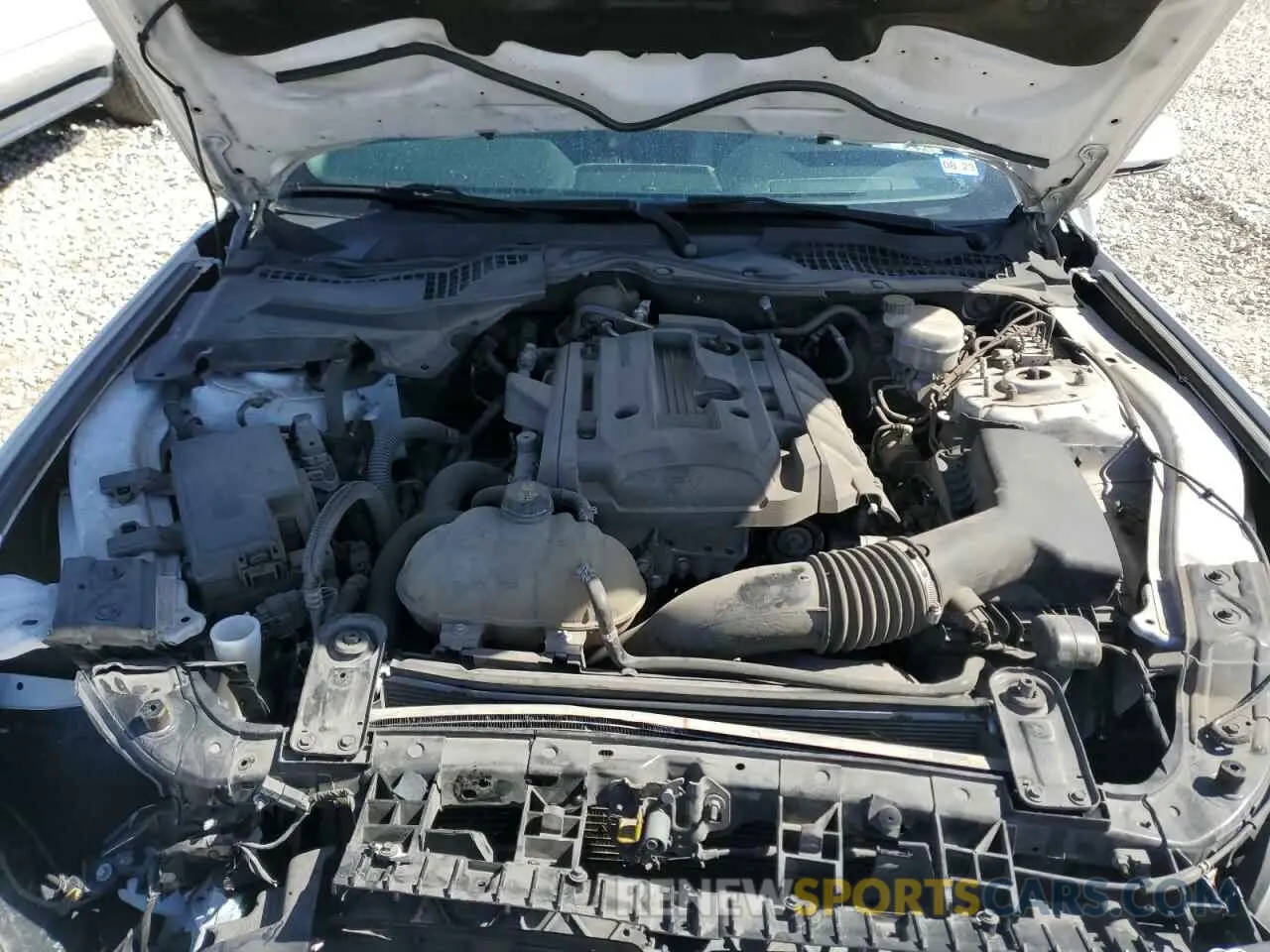 11 Photograph of a damaged car 1FA6P8TH5L5136904 FORD ALL Models 2020