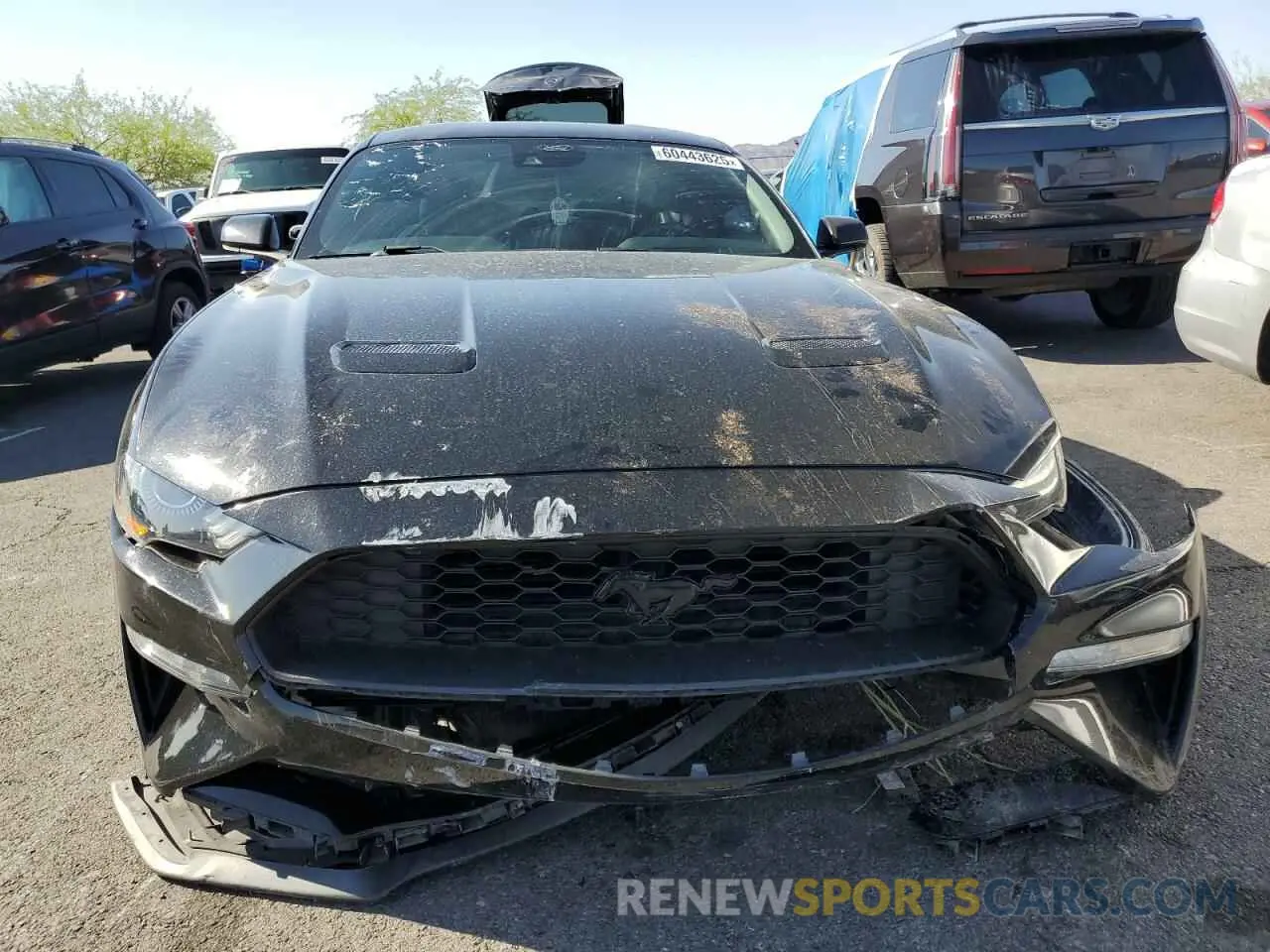 5 Photograph of a damaged car 1FA6P8TH6L5171645 FORD ALL Models 2020