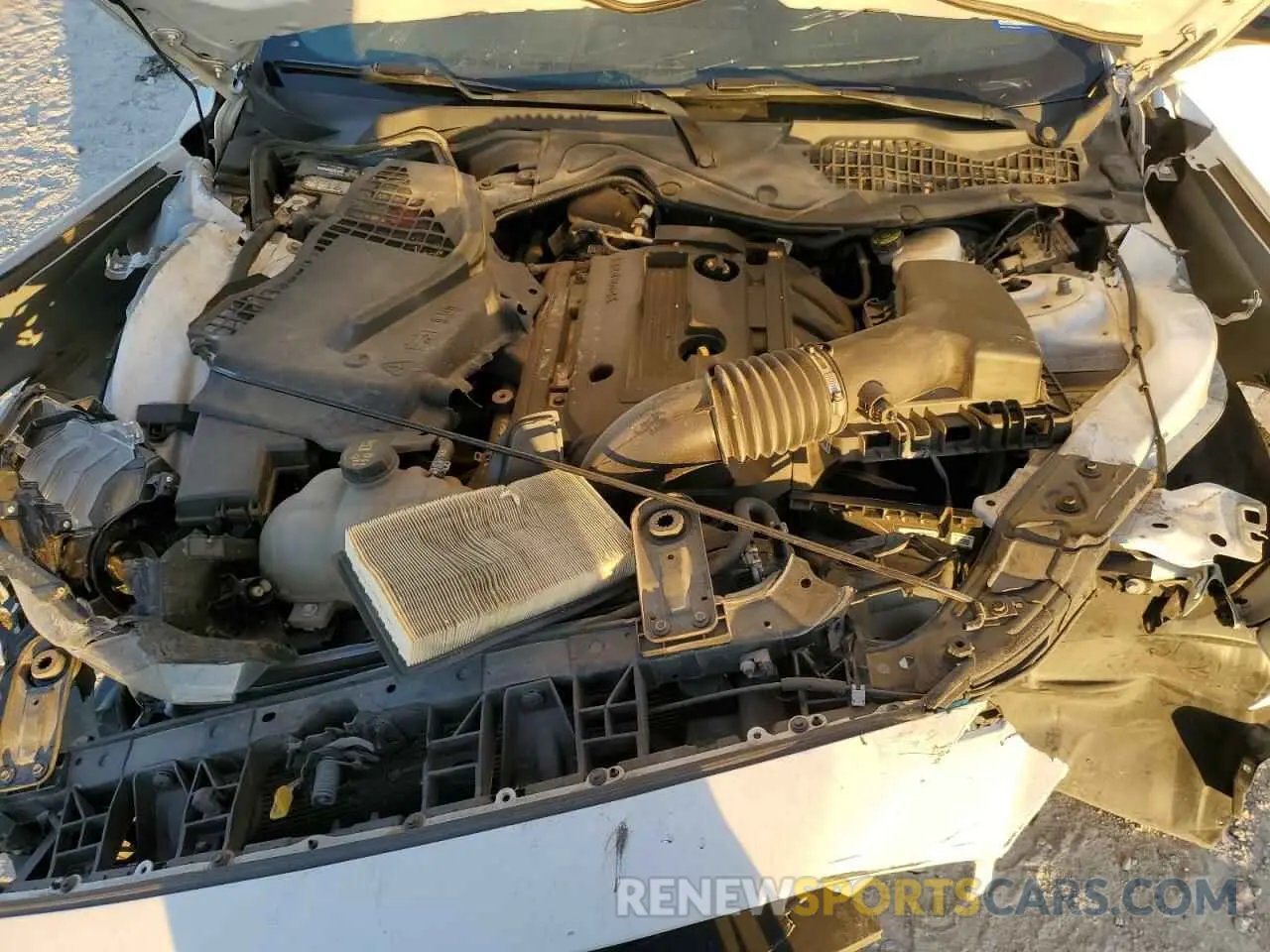12 Photograph of a damaged car 1FA6P8TH9L5173017 FORD ALL Models 2020