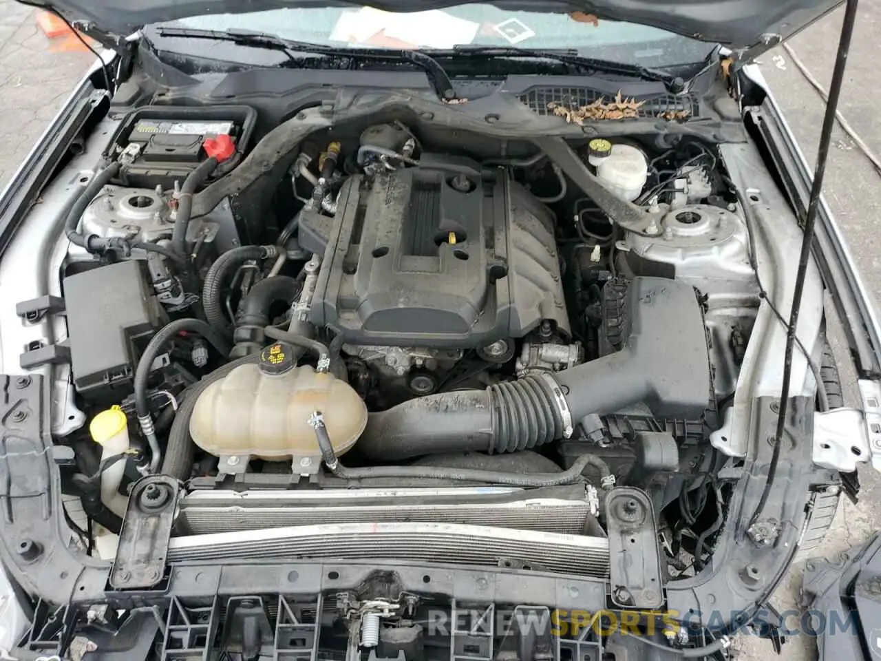 11 Photograph of a damaged car 1FATP8UH0L5106064 FORD ALL Models 2020