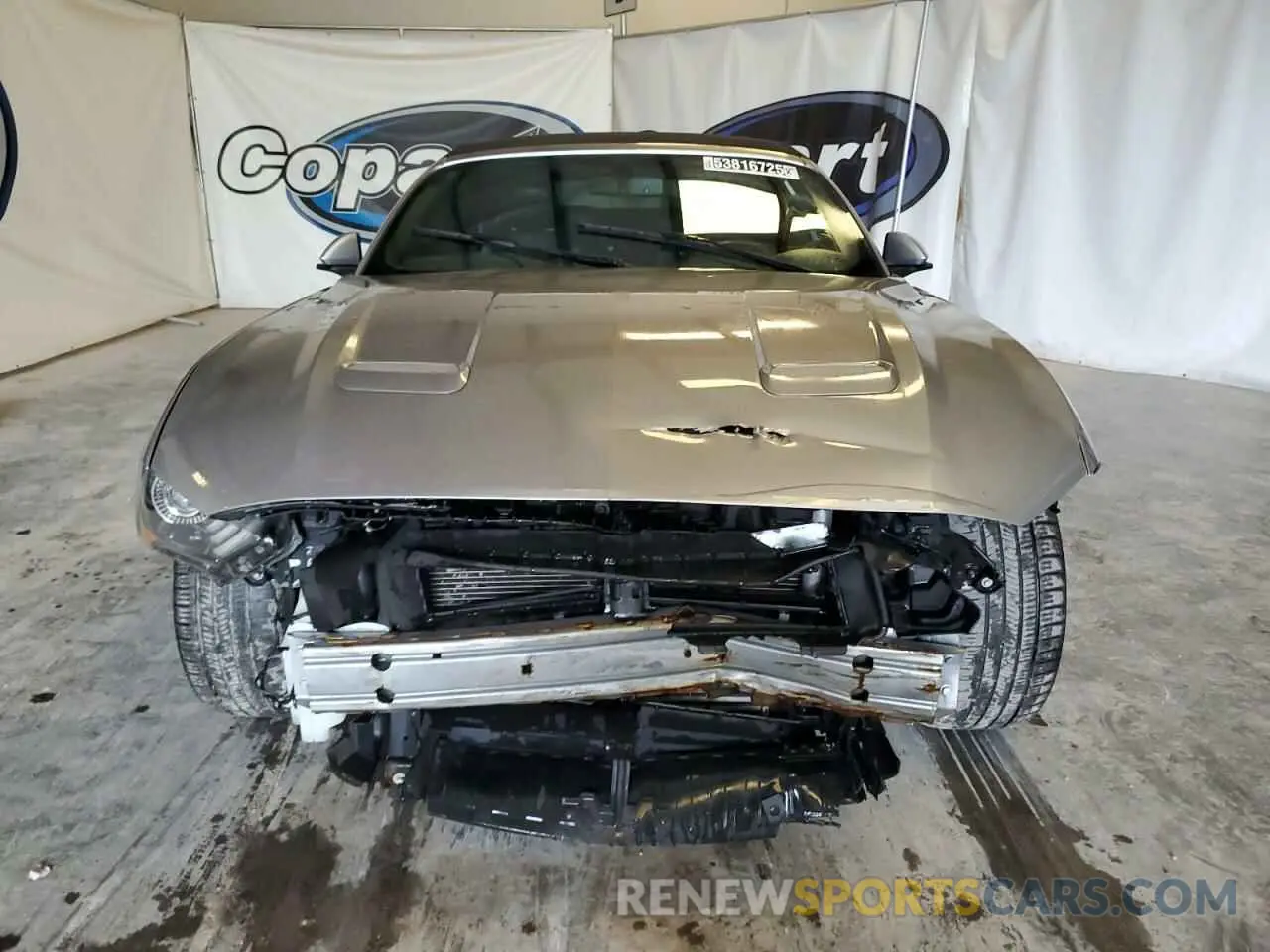 5 Photograph of a damaged car 1FATP8UH0L5106064 FORD ALL Models 2020