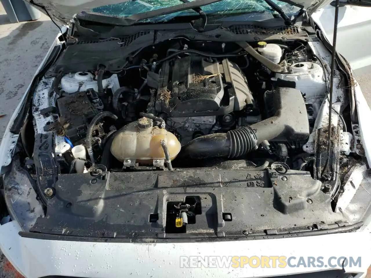 12 Photograph of a damaged car 1FATP8UH0L5106632 FORD ALL Models 2020
