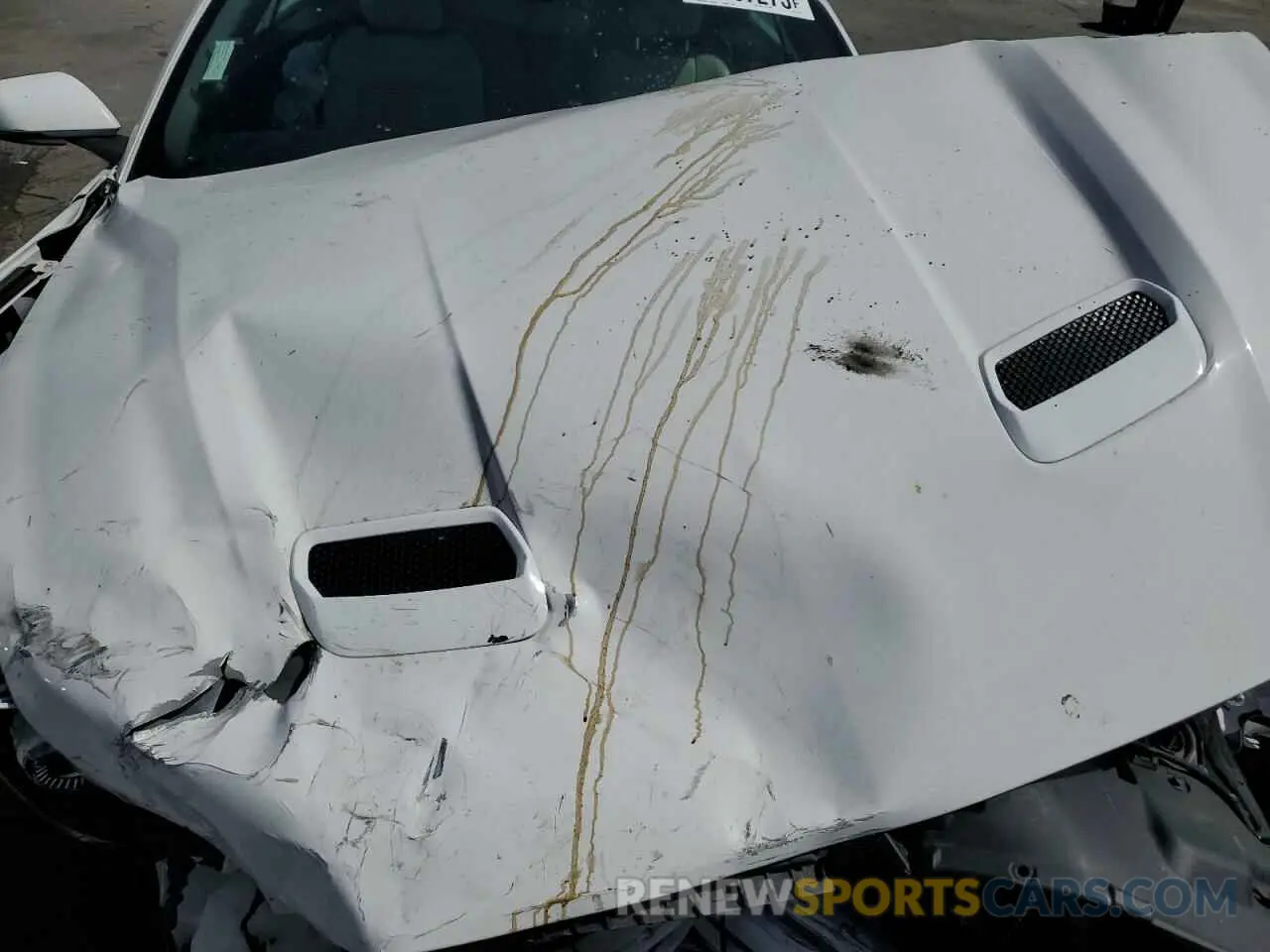 11 Photograph of a damaged car 1FATP8UH5L5134359 FORD ALL Models 2020