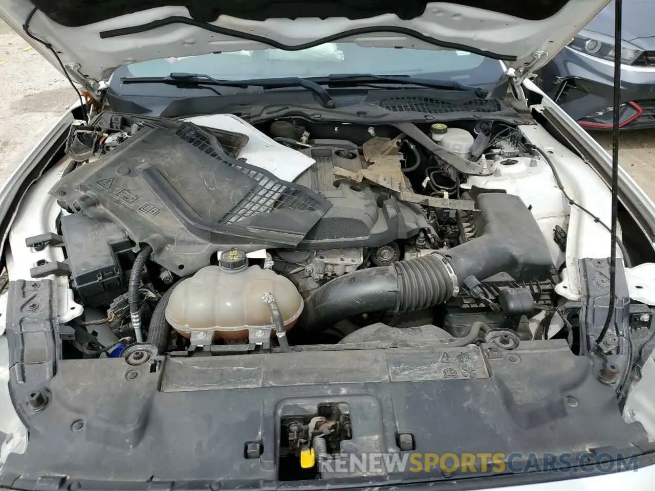 13 Photograph of a damaged car 1FATP8UHXL5113250 FORD ALL Models 2020