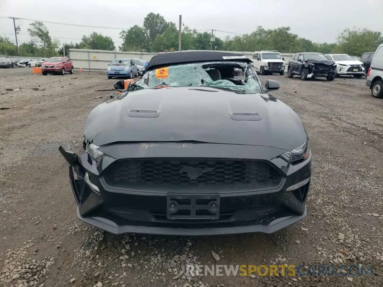 5 Photograph of a damaged car 1FATP8UHXL5180169 FORD ALL Models 2020