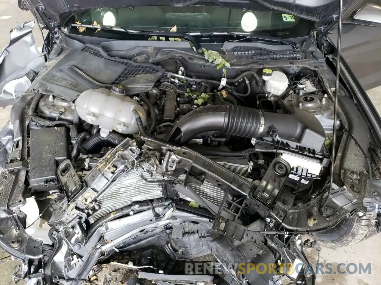 11 Photograph of a damaged car 1FA6P8TH0M5154969 FORD ALL Models 2021