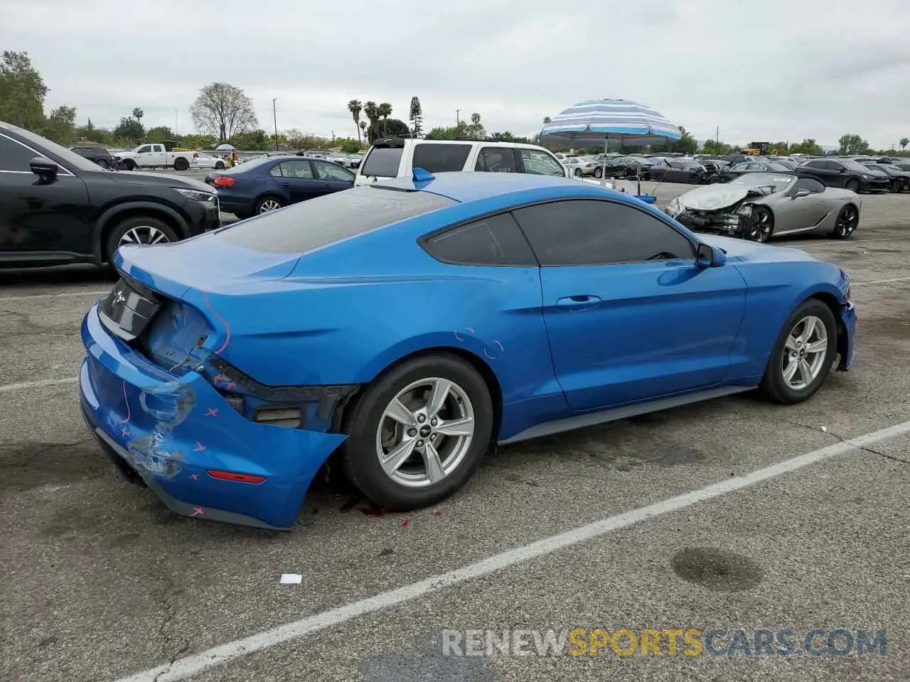 3 Photograph of a damaged car 1FA6P8TH5M5148701 FORD ALL Models 2021