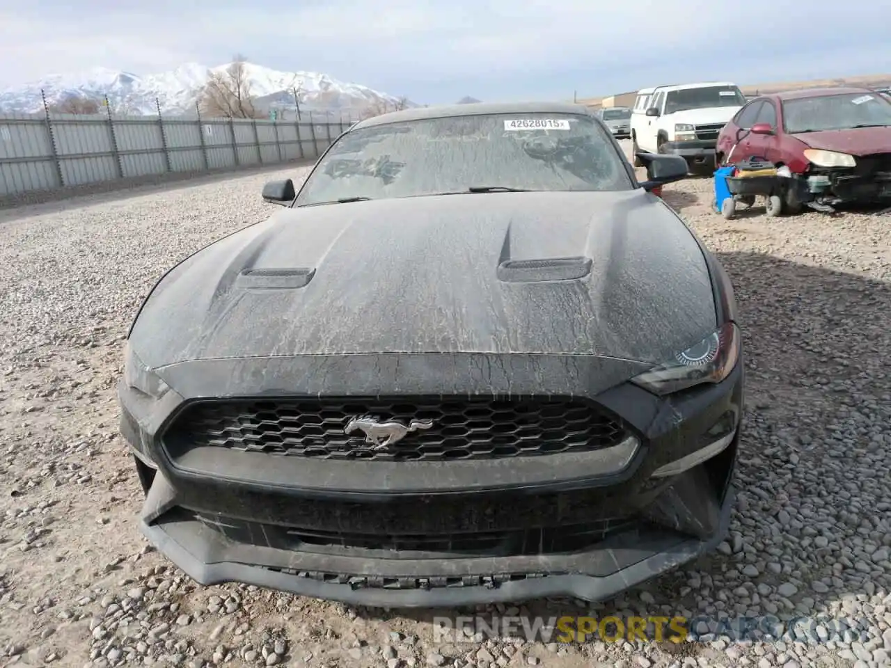 5 Photograph of a damaged car 1FA6P8TH6M5107882 FORD ALL Models 2021