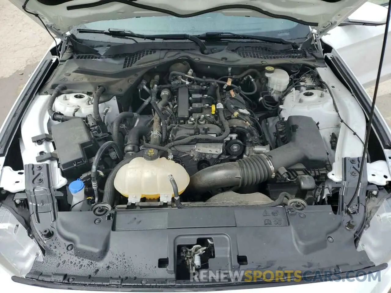 11 Photograph of a damaged car 1FA6P8TH7M5141555 FORD ALL Models 2021
