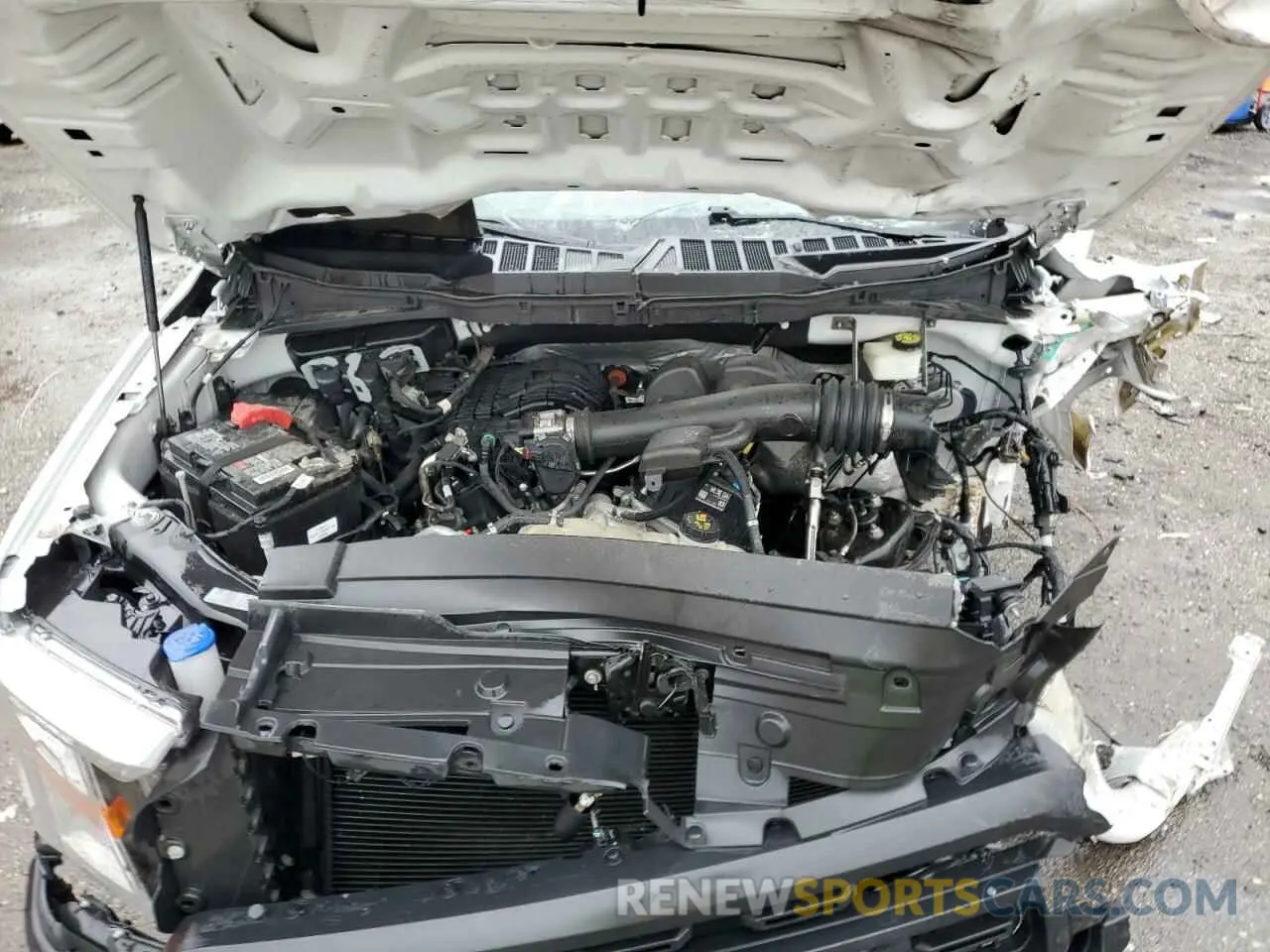 11 Photograph of a damaged car 1FTMF1CB2MKE24678 FORD All Models 2021