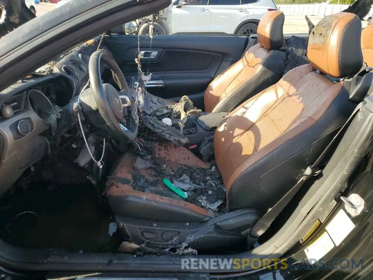 7 Photograph of a damaged car 1FATP8UH0N5103135 FORD ALL Models 2022