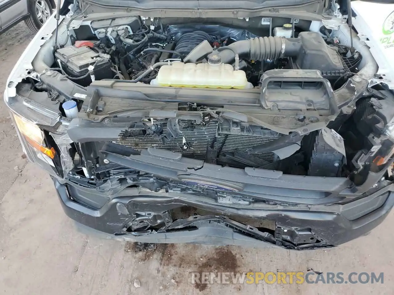 11 Photograph of a damaged car 1FTMF1C5XPKE35376 FORD All Models 2023