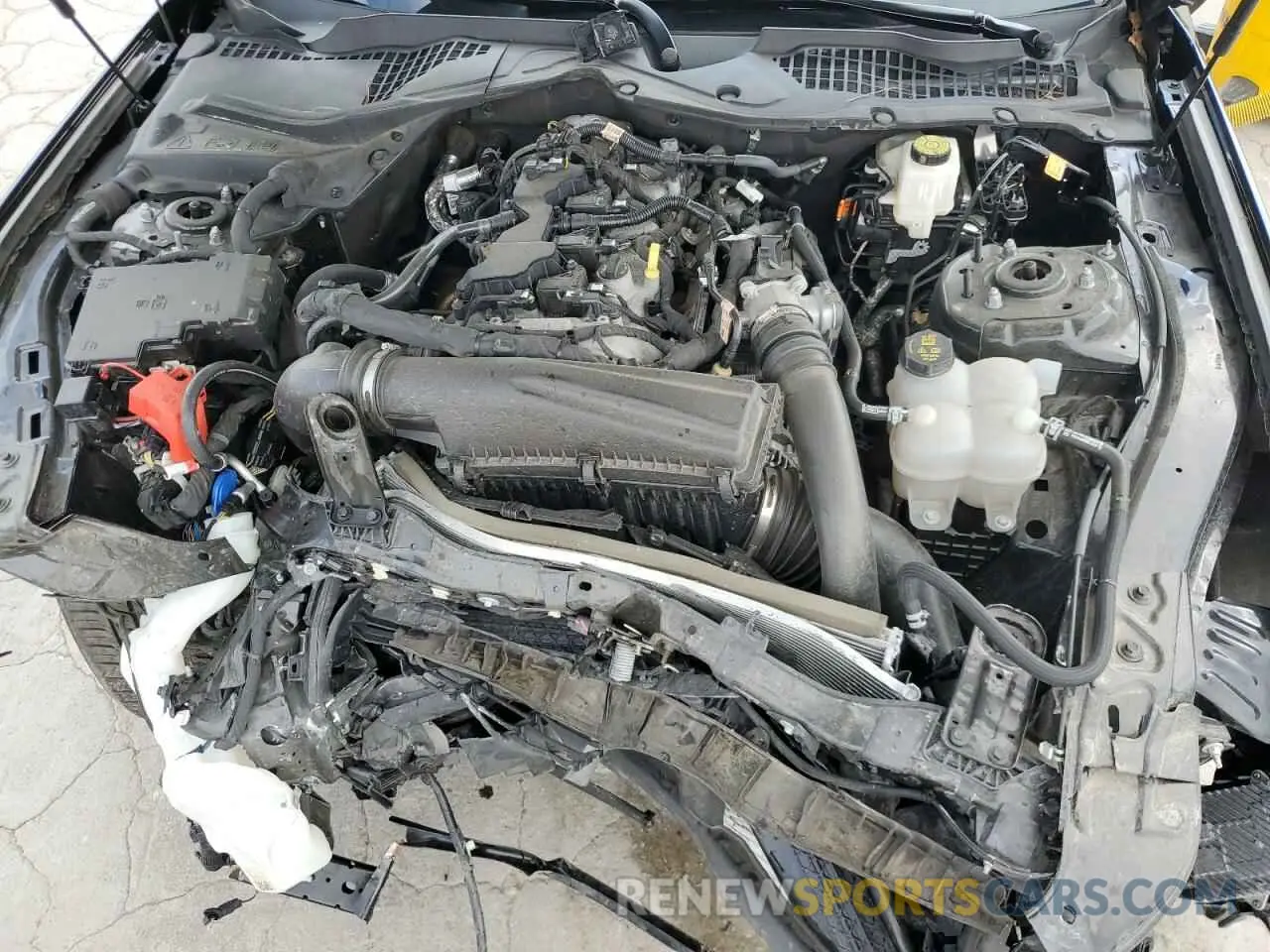 11 Photograph of a damaged car 1FA6P8TH2R5106803 FORD ALL Models 2024