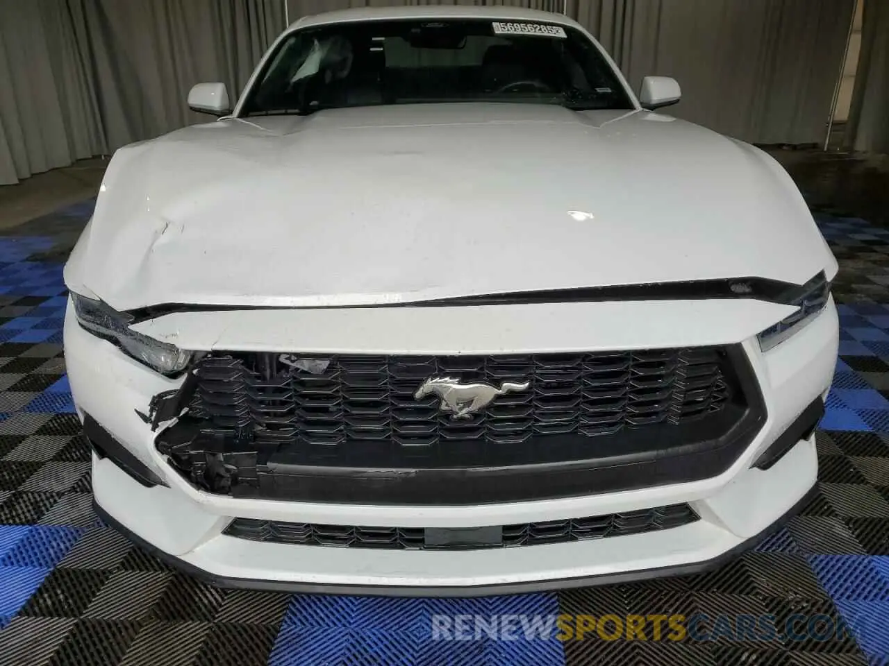 5 Photograph of a damaged car 1FA6P8TH3R5112996 FORD ALL Models 2024