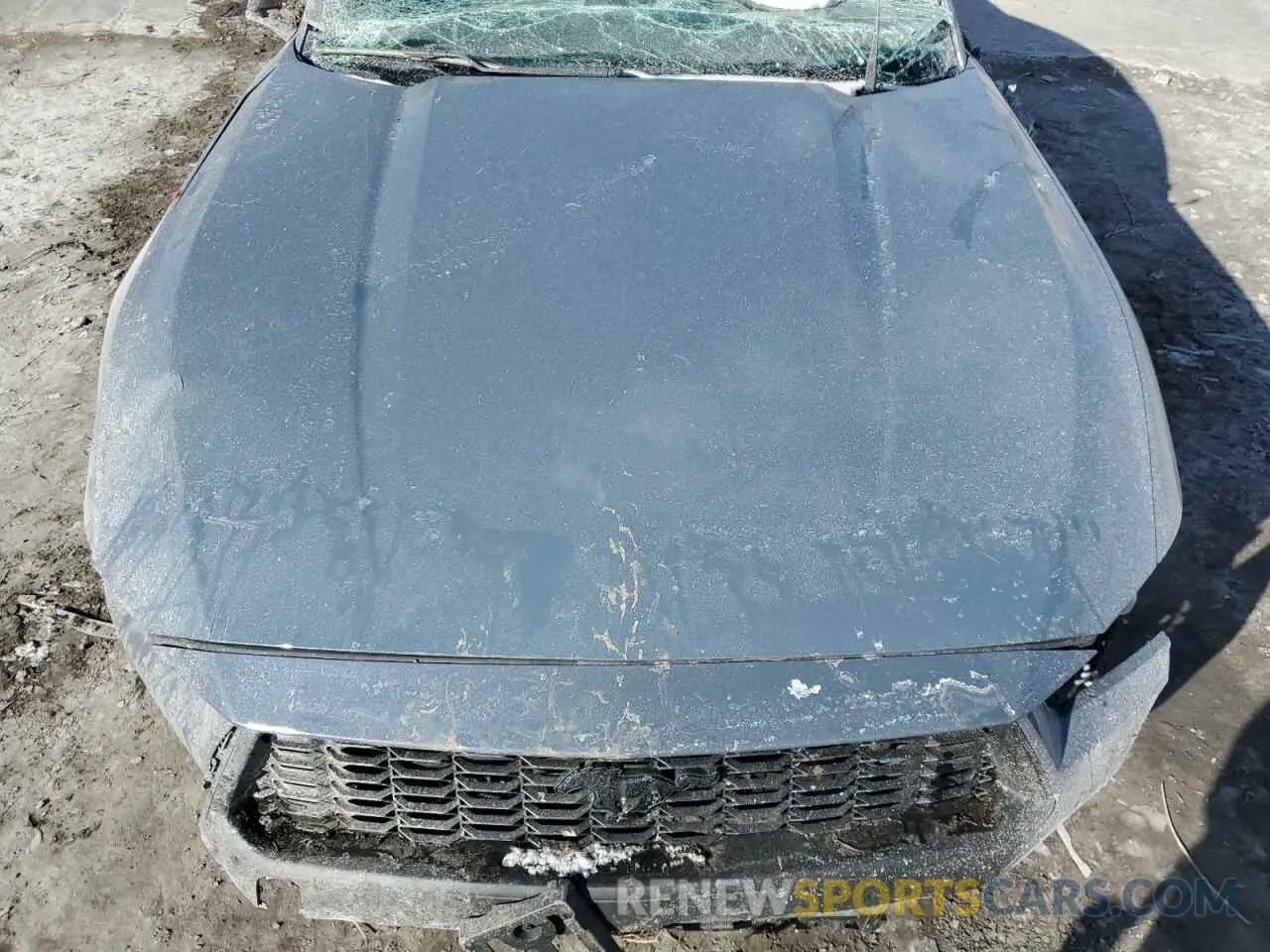 11 Photograph of a damaged car 1FA6P8TH6R5110367 FORD ALL Models 2024