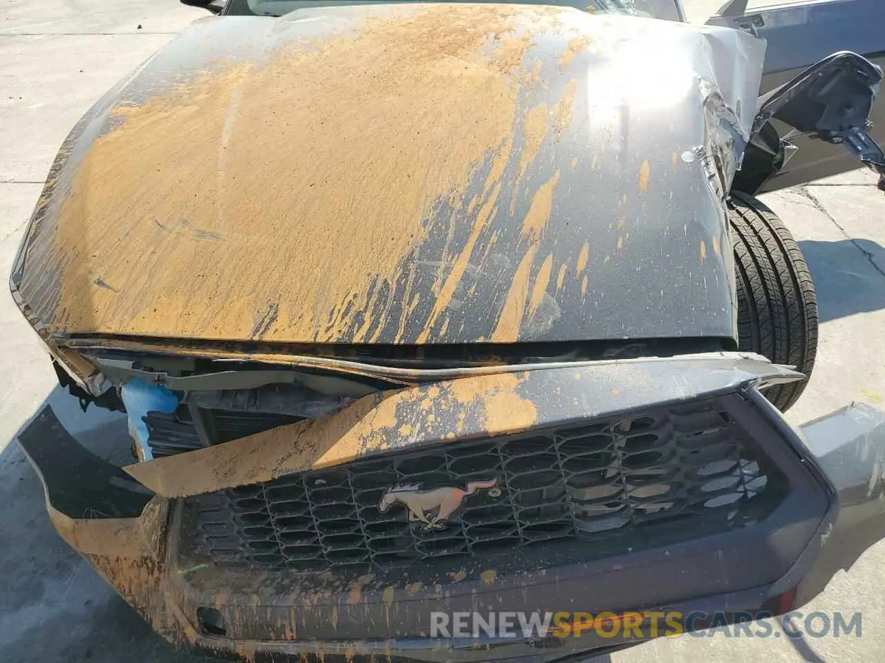 13 Photograph of a damaged car 1FA6P8TH6R5130831 FORD ALL Models 2024
