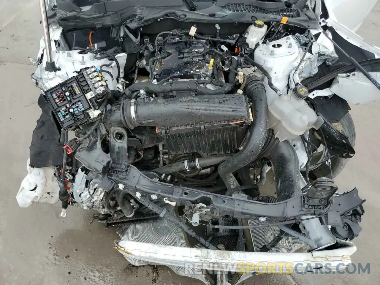12 Photograph of a damaged car 1FA6P8TH7R5122317 FORD ALL Models 2024