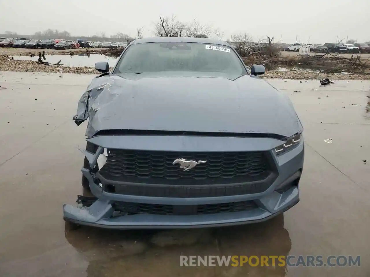 5 Photograph of a damaged car 1FA6P8TH8R5146805 FORD ALL Models 2024