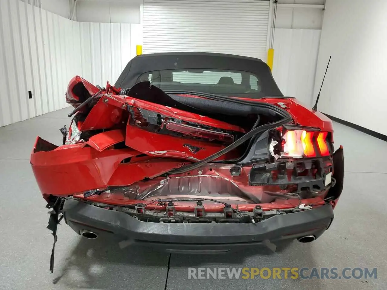 6 Photograph of a damaged car 1FAGP8UH1R5134207 FORD ALL Models 2024