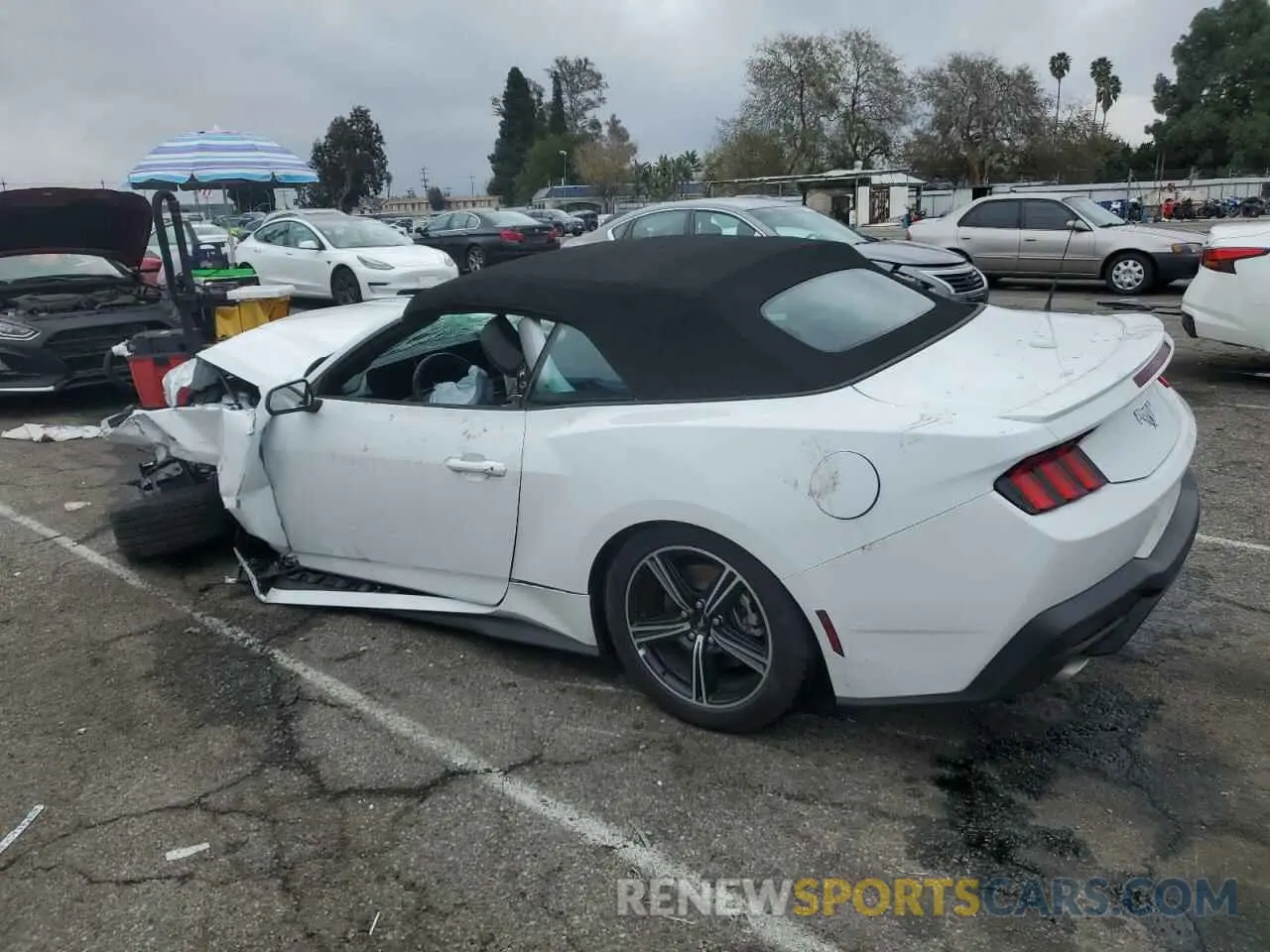 2 Photograph of a damaged car 1FAGP8UH5R5134002 FORD ALL Models 2024