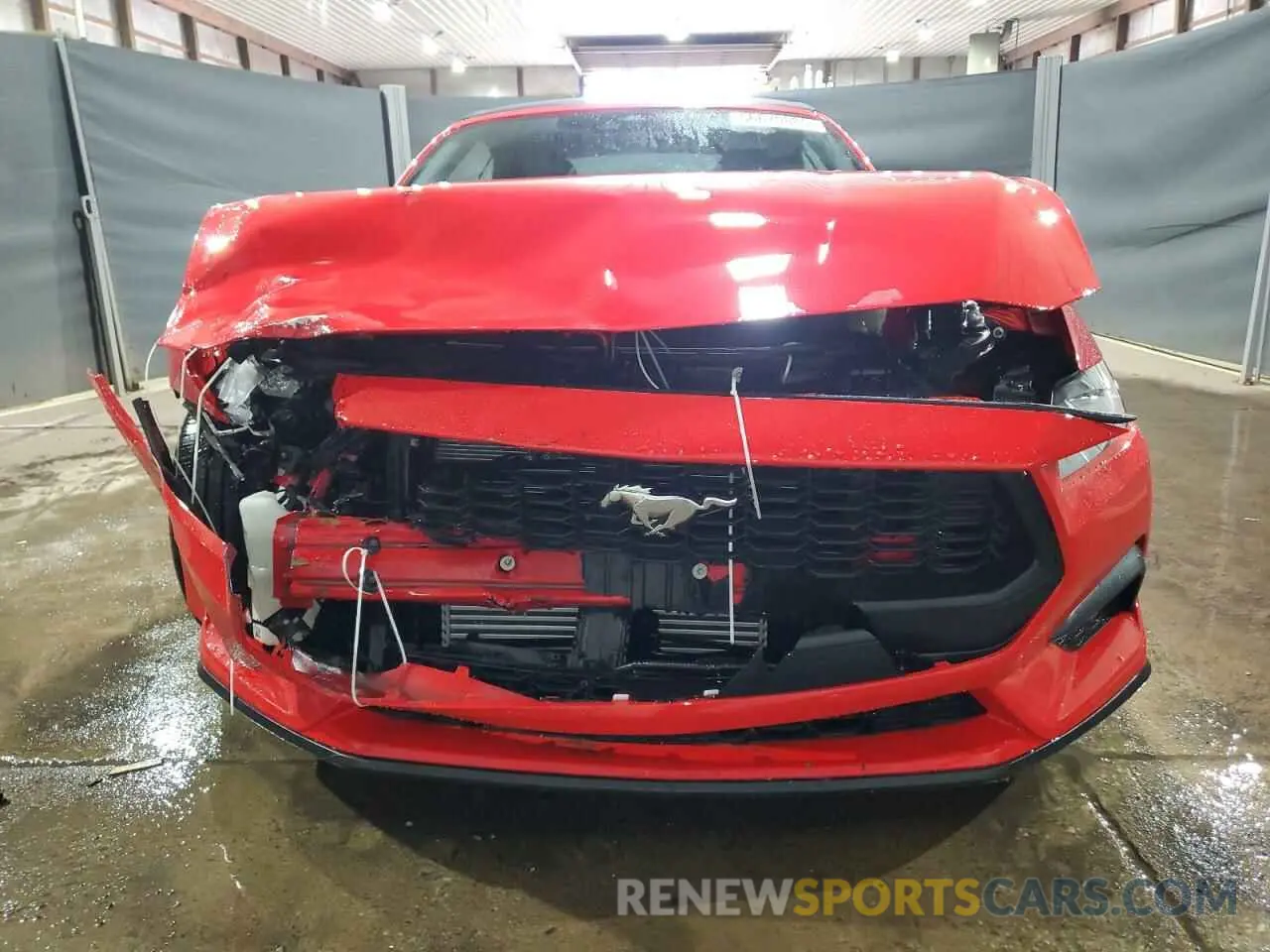 5 Photograph of a damaged car 1FAGP8UH7R5106136 FORD ALL Models 2024