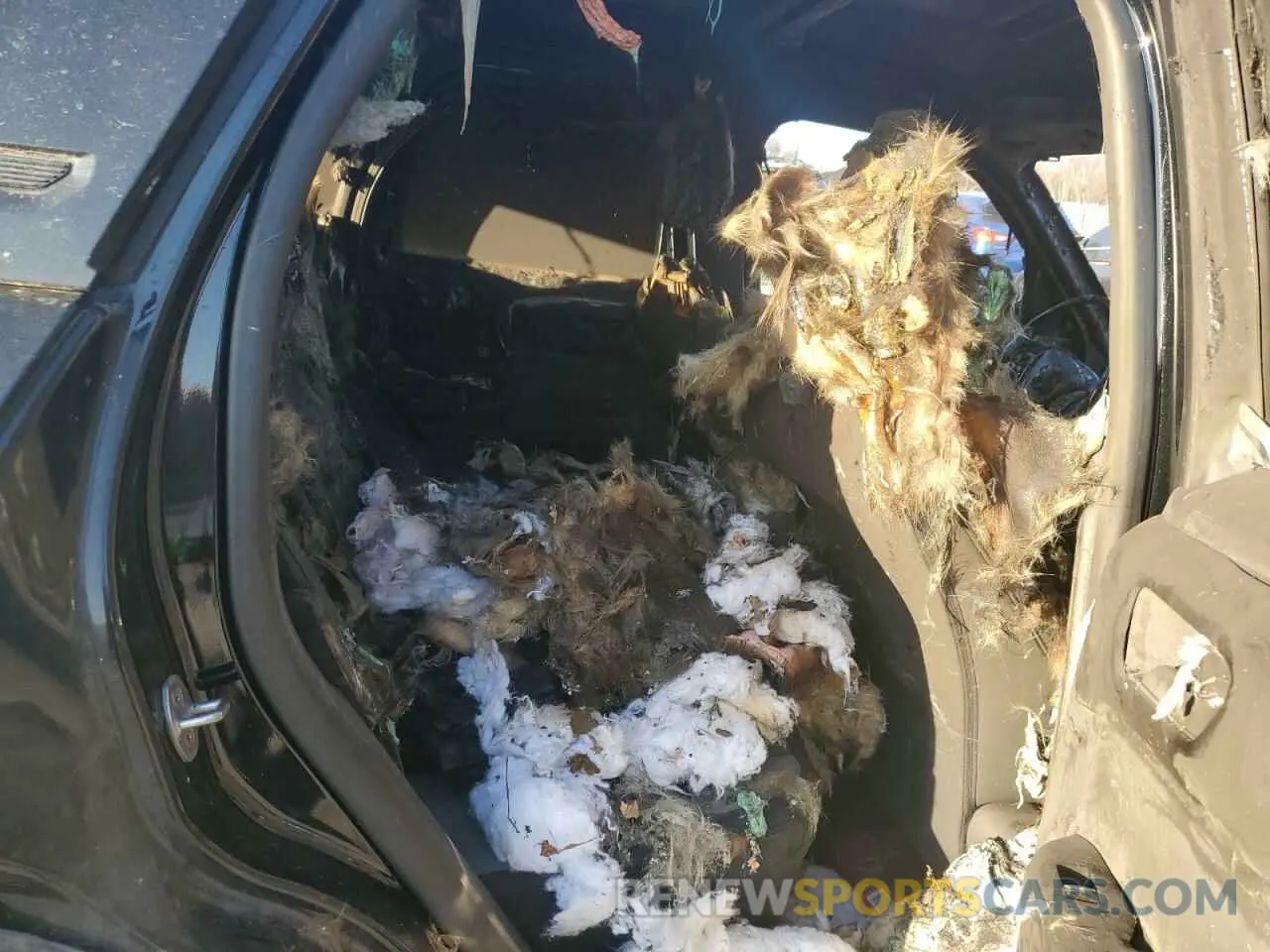 11 Photograph of a damaged car 3FMCR9B65NRE22079 FORD BRONCO 2022