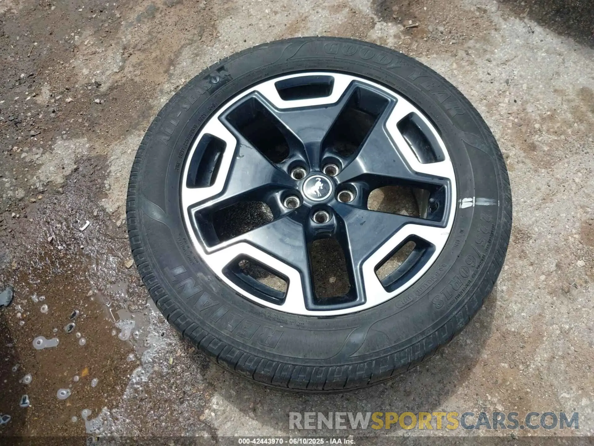 12 Photograph of a damaged car 3FMCR9C63MRA06545 FORD BRONCO SPORT 2021