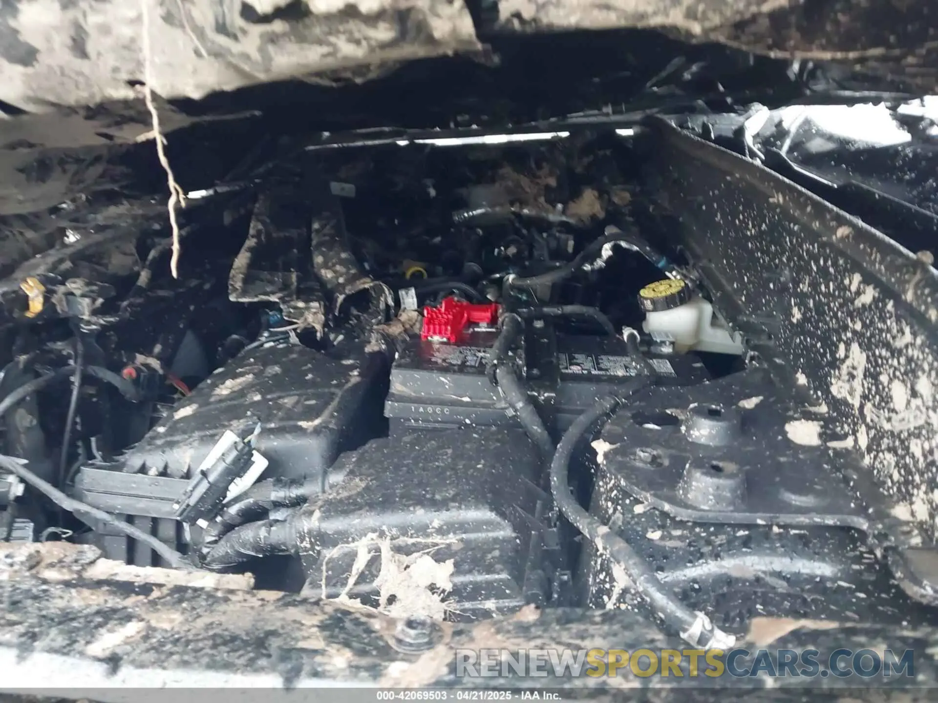 10 Photograph of a damaged car 3FMCR9B61RRE56428 FORD BRONCO SPORT 2024