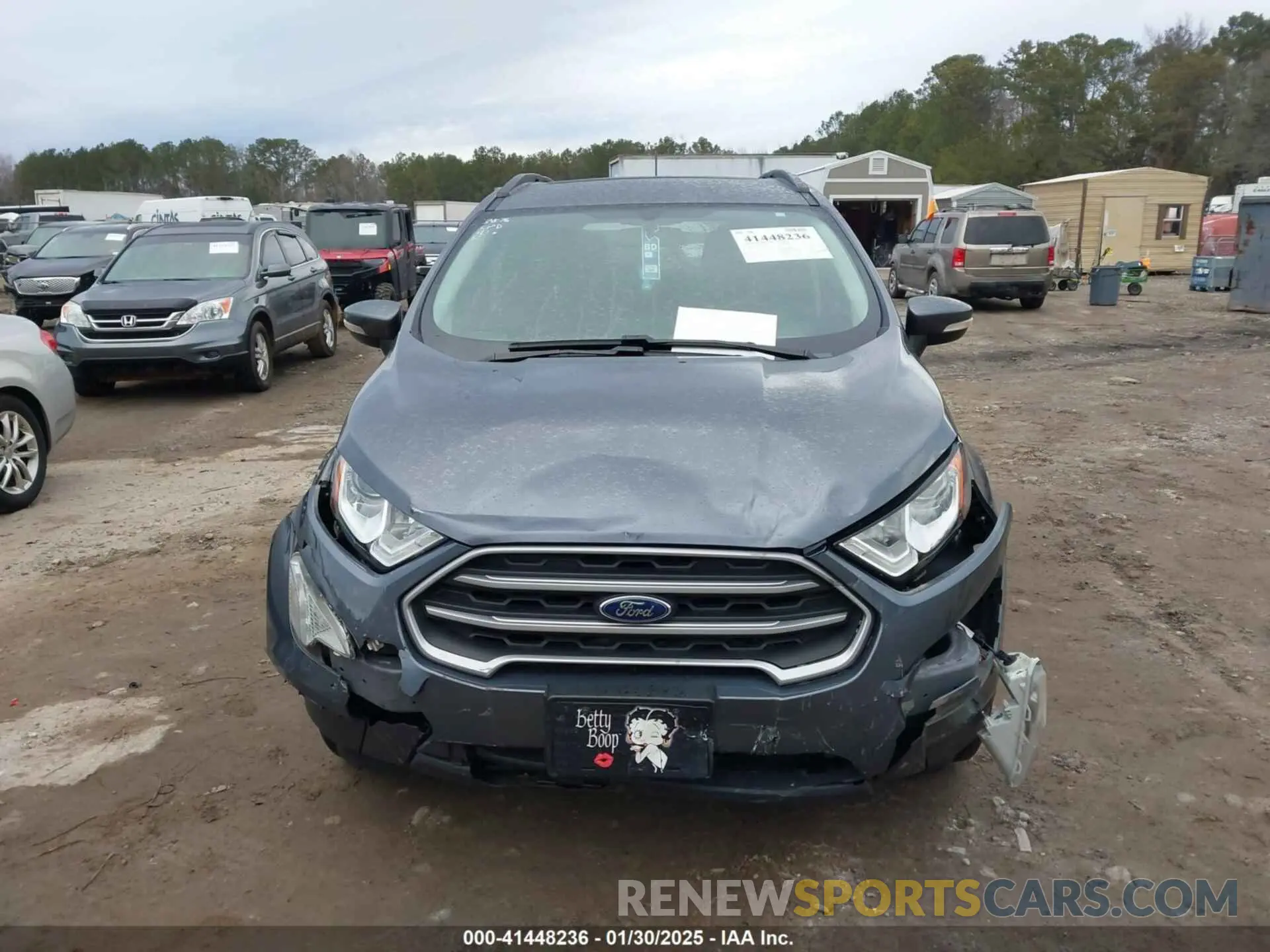 13 Photograph of a damaged car MAJ3S2GE2KC263876 FORD ECOSPORT 2019
