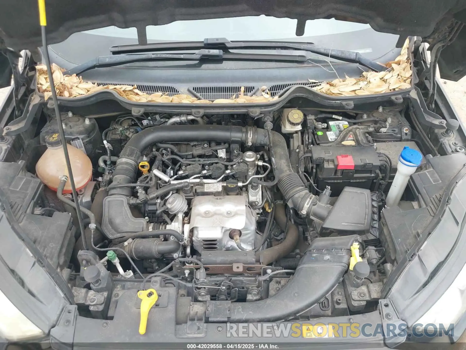 10 Photograph of a damaged car MAJ3S2GE3KC268892 FORD ECOSPORT 2019