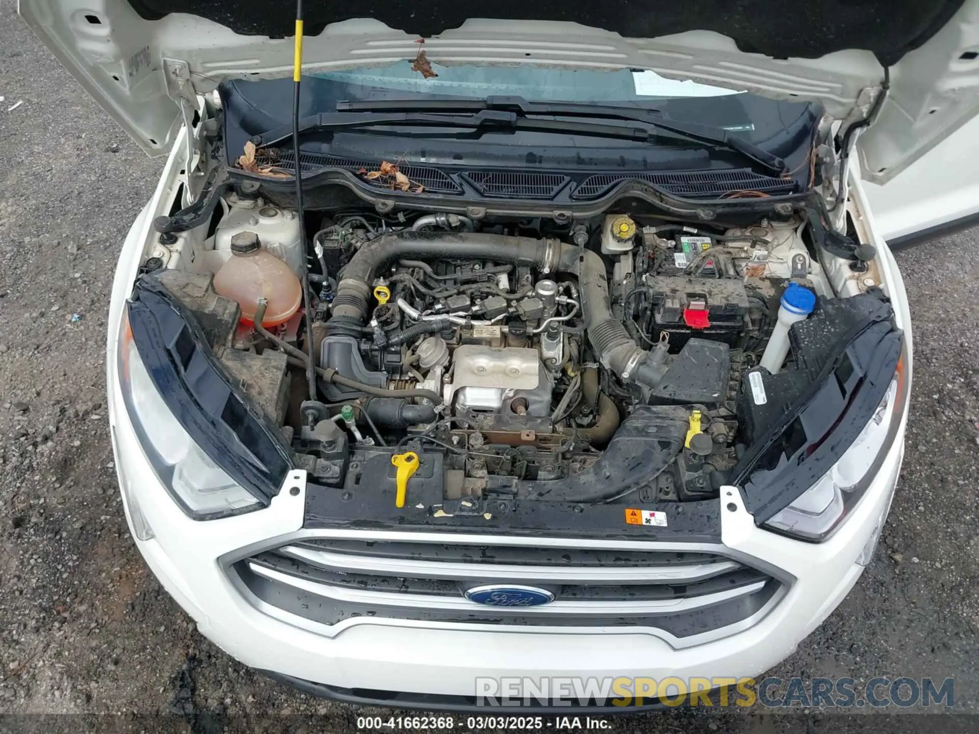 10 Photograph of a damaged car MAJ3S2GE5KC303920 FORD ECOSPORT 2019