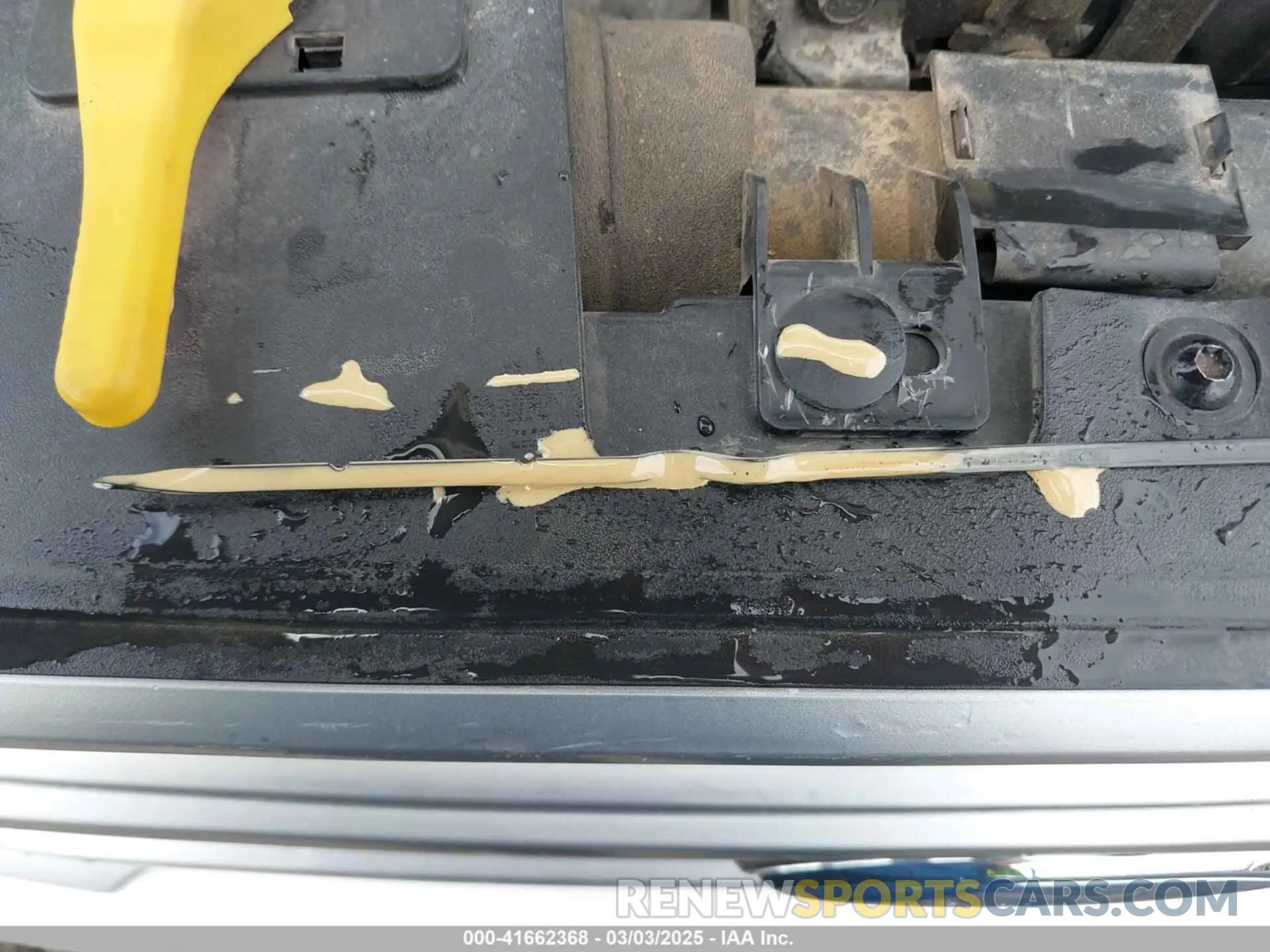 13 Photograph of a damaged car MAJ3S2GE5KC303920 FORD ECOSPORT 2019