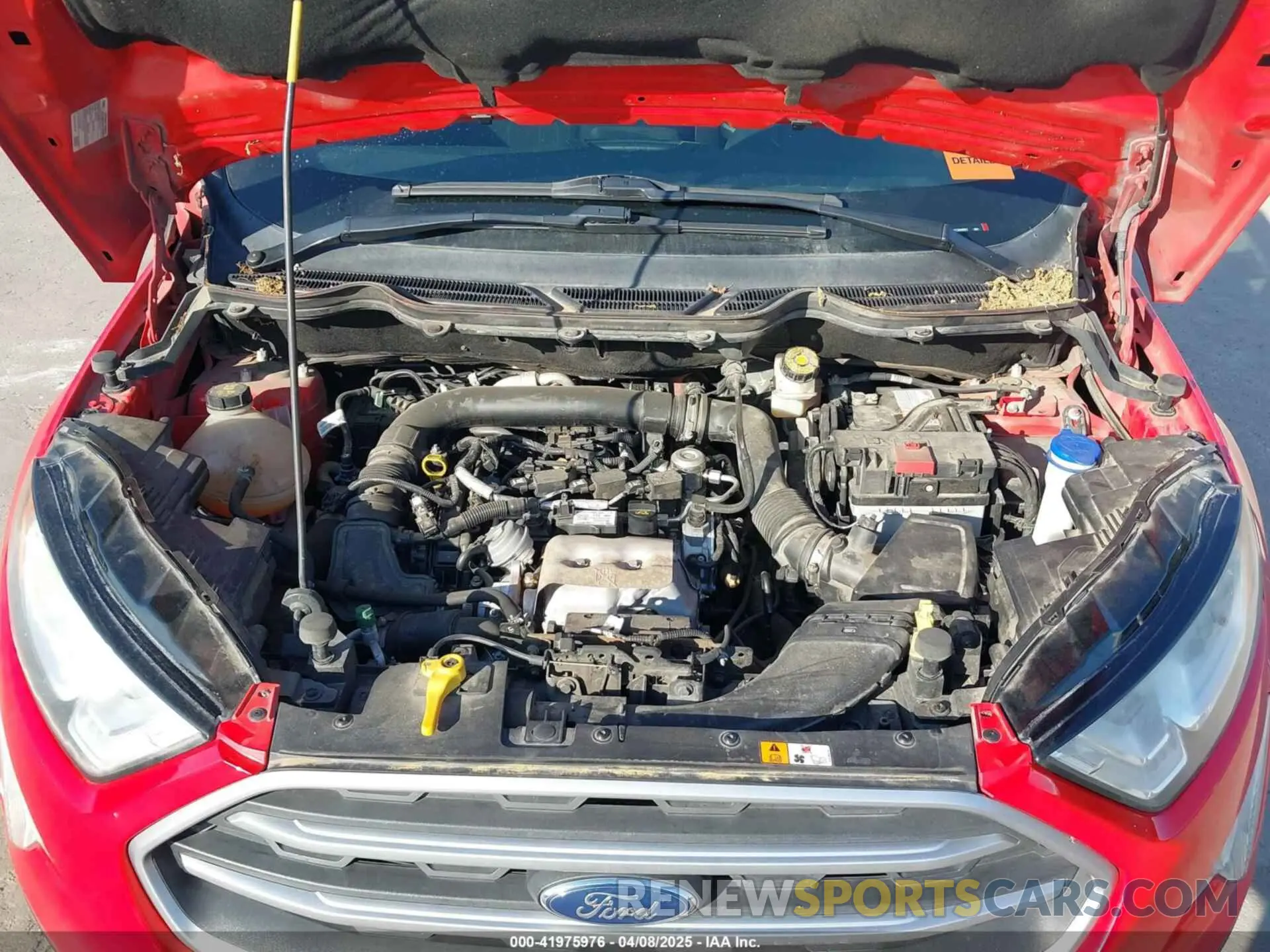 10 Photograph of a damaged car MAJ3S2GE5KC304551 FORD ECOSPORT 2019