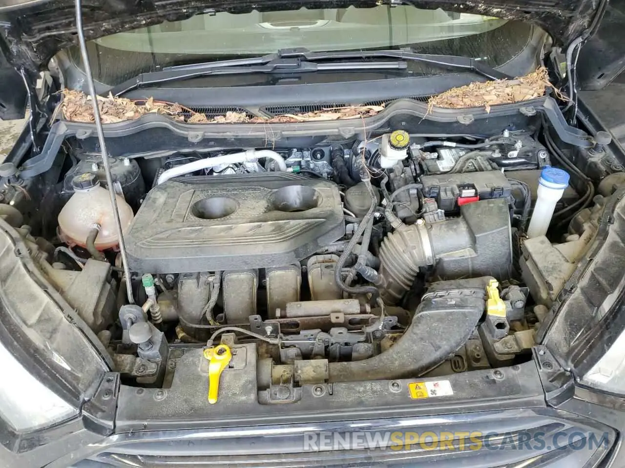 12 Photograph of a damaged car MAJ6S3FL4KC263994 FORD ECOSPORT 2019