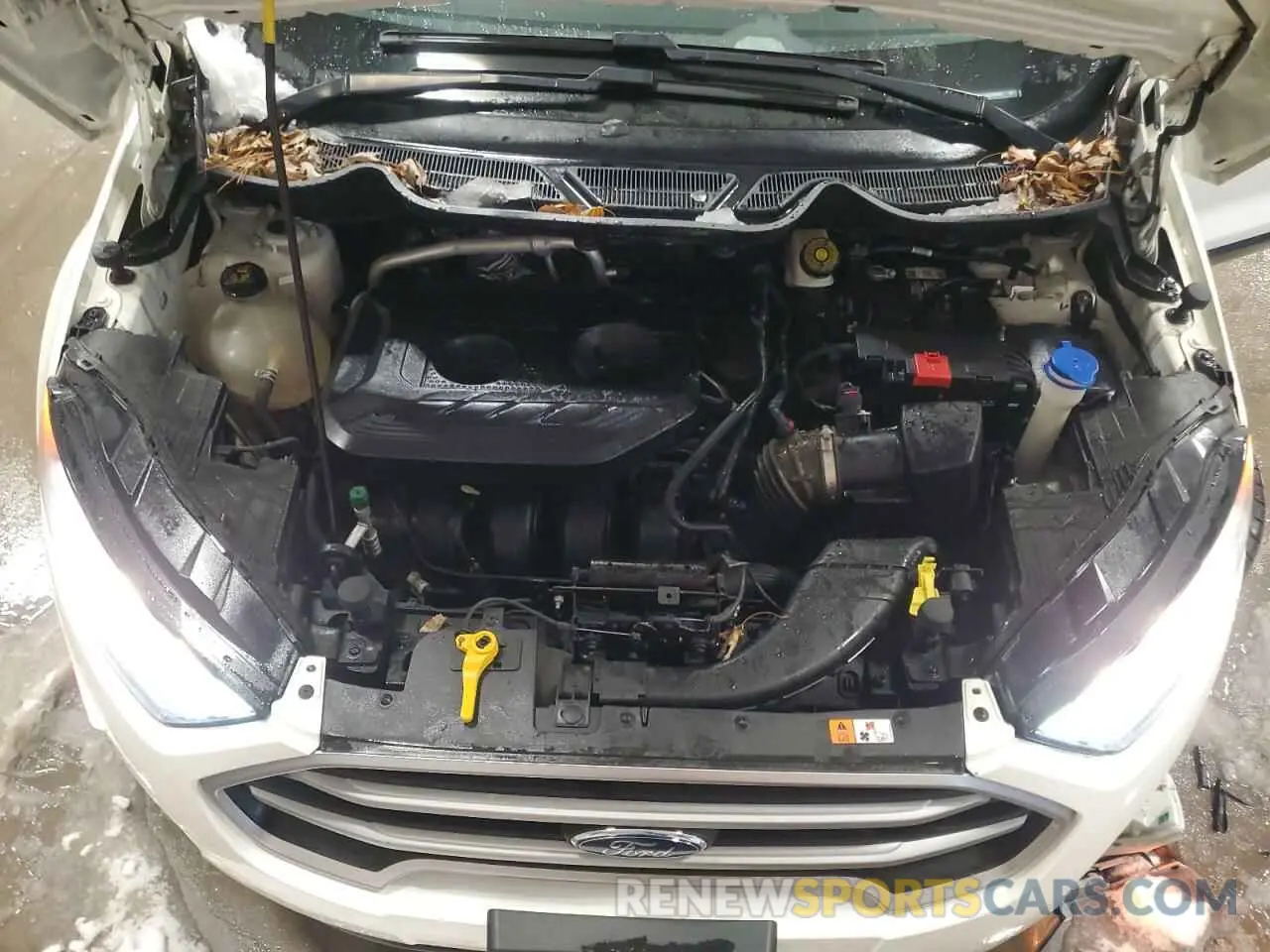 12 Photograph of a damaged car MAJ6S3GL4KC289865 FORD ECOSPORT 2019
