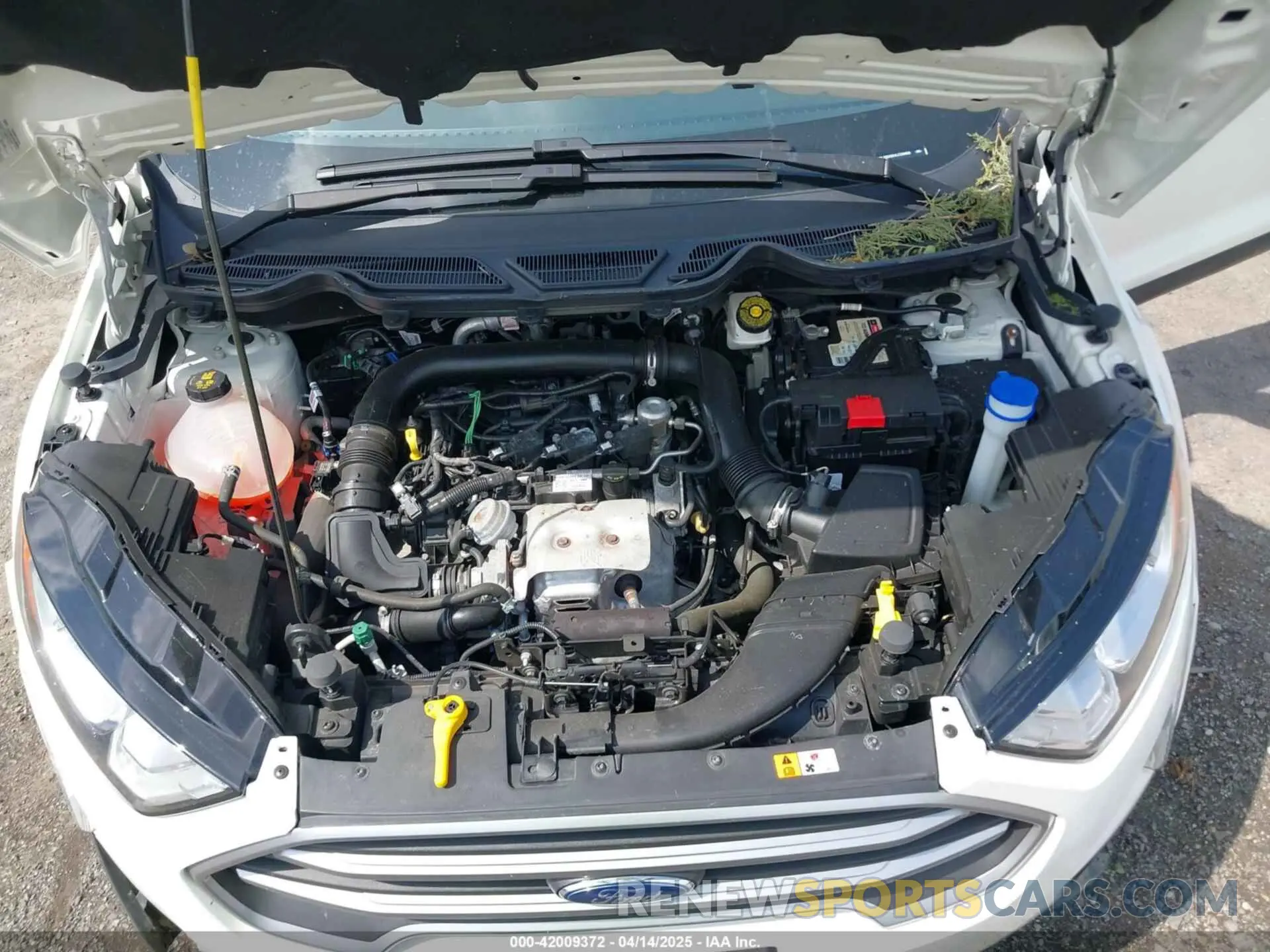 10 Photograph of a damaged car MAJ3S2GE4LC339826 FORD ECOSPORT 2020