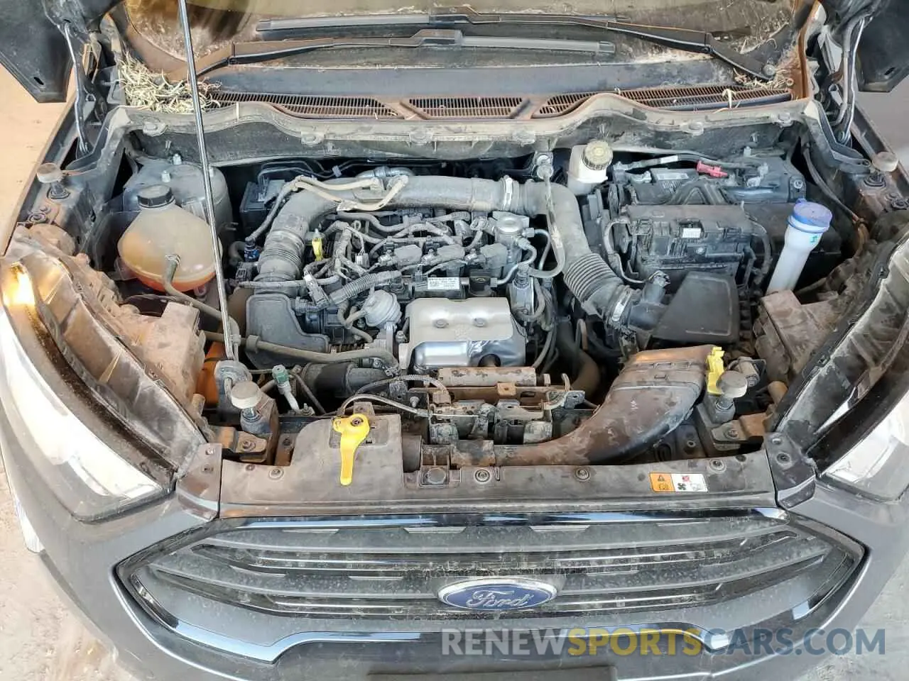 12 Photograph of a damaged car MAJ3S2FE0MC438226 FORD ECOSPORT 2021