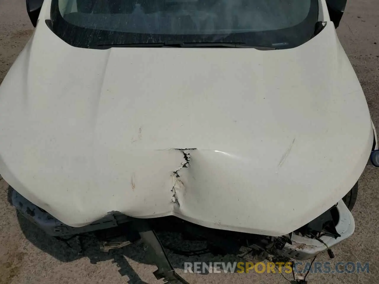 12 Photograph of a damaged car MAJ3S2FE0MC438355 FORD ECOSPORT 2021