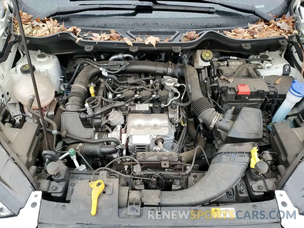 11 Photograph of a damaged car MAJ3S2FE9MC440816 FORD ECOSPORT 2021