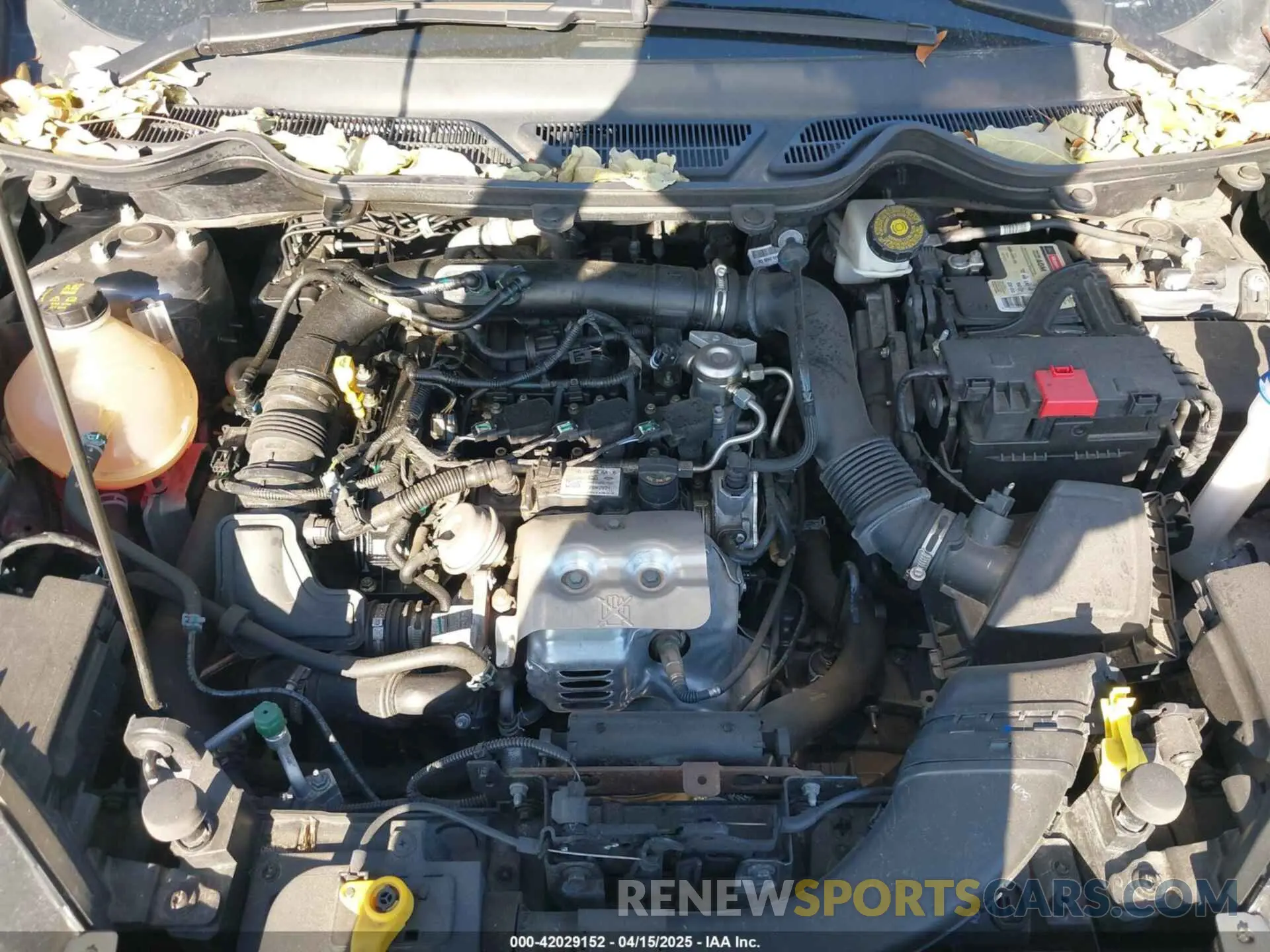 10 Photograph of a damaged car MAJ3S2GE7MC456723 FORD ECOSPORT 2021