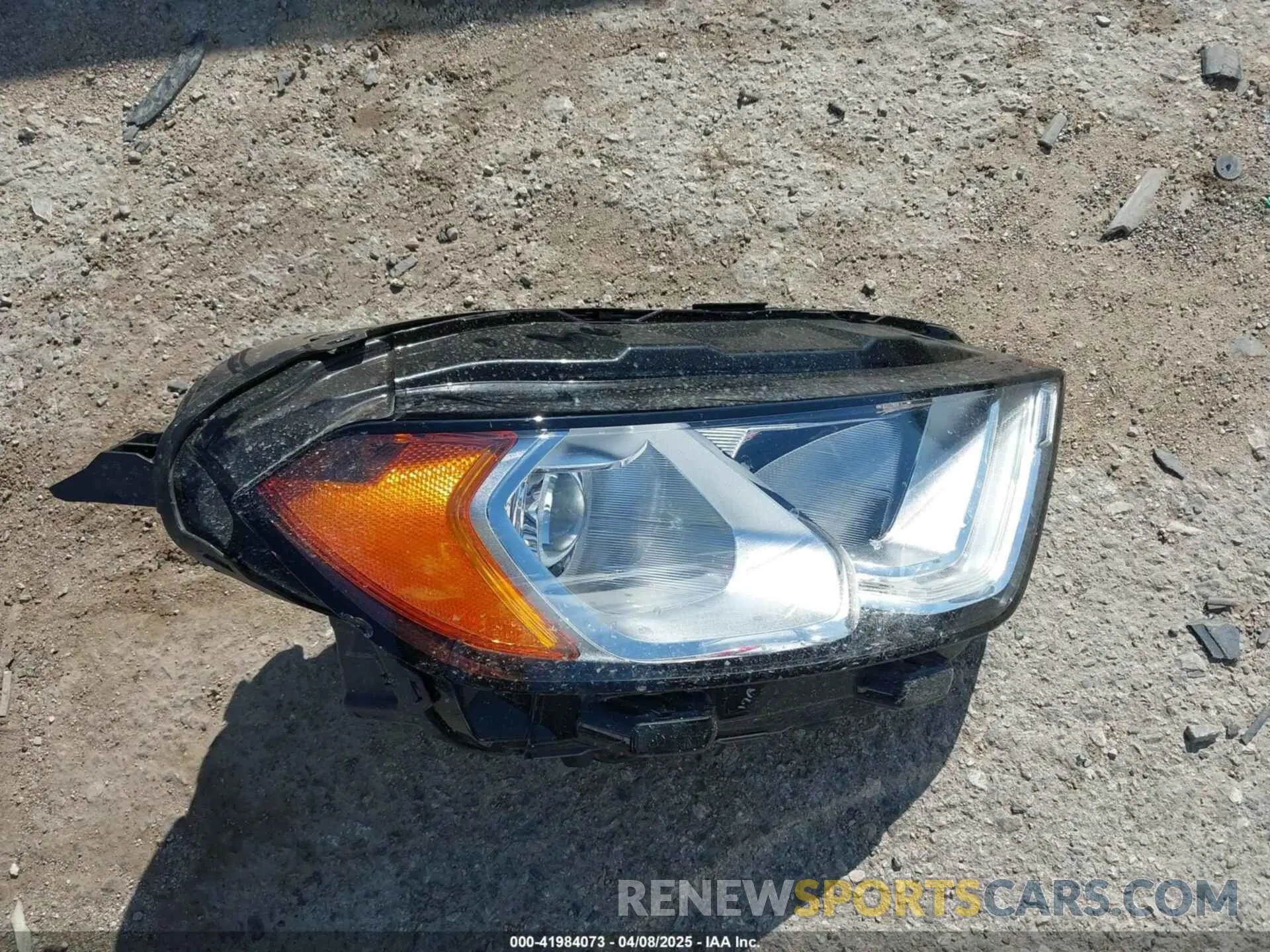 12 Photograph of a damaged car MAJ3S2GE9MC455900 FORD ECOSPORT 2021