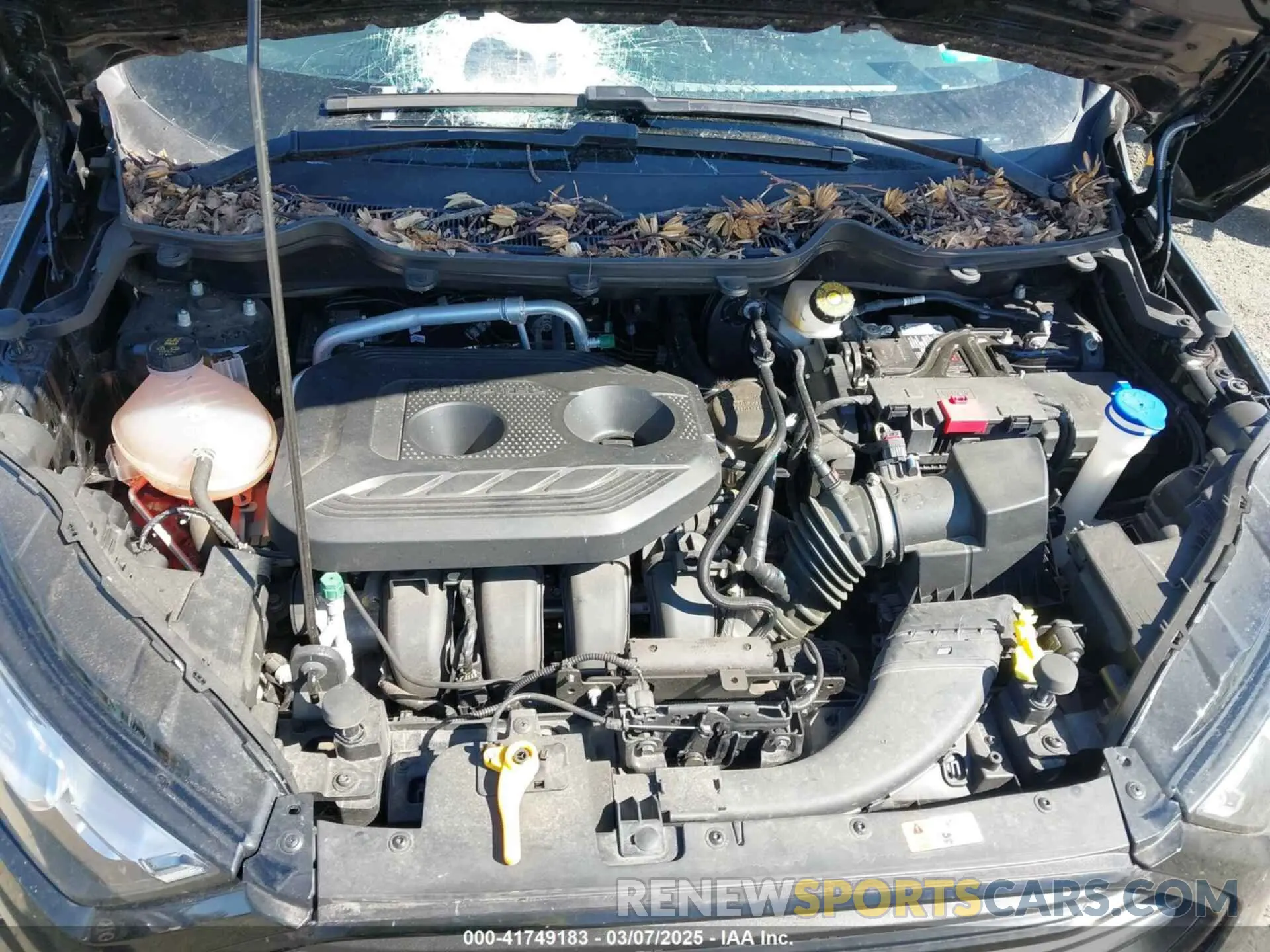 10 Photograph of a damaged car MAJ6S3FL9MC402973 FORD ECOSPORT 2021