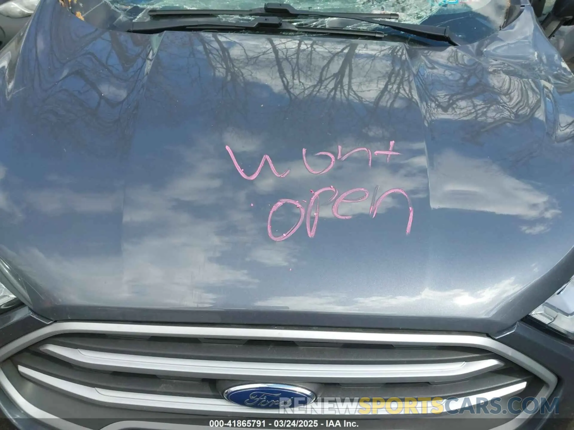 10 Photograph of a damaged car MAJ6S3GL0MC404528 FORD ECOSPORT 2021