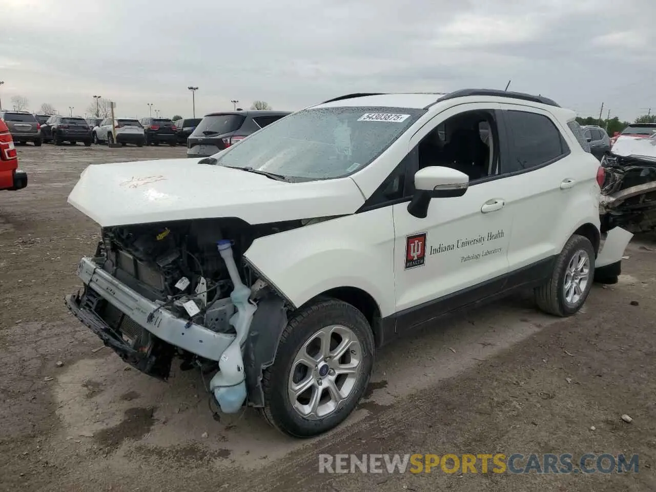 1 Photograph of a damaged car MAJ6S3GL3MC436244 FORD ECOSPORT 2021