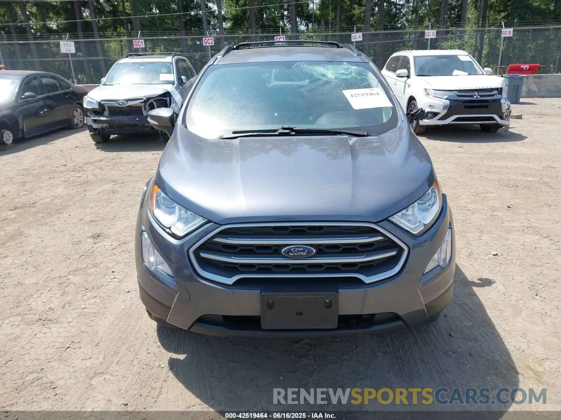 12 Photograph of a damaged car MAJ6S3GL6MC454589 FORD ECOSPORT 2021