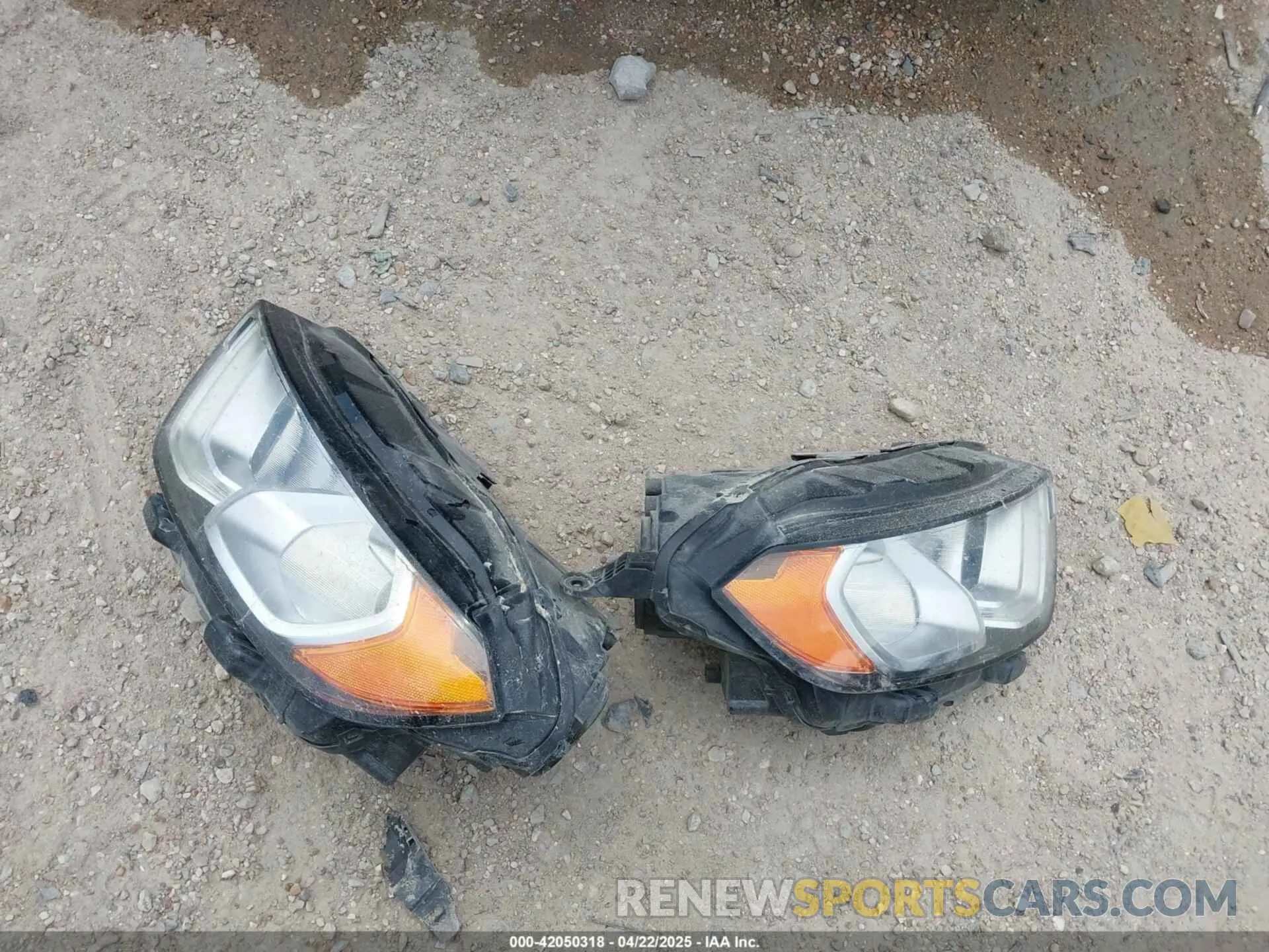 12 Photograph of a damaged car MAJ6S3KL7MC400564 FORD ECOSPORT 2021